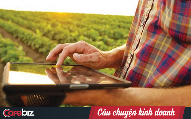 Lên đời xoài Cát Chu thành xoài blockchain, nông dân Đồng Tháp trồng không xuể để bán - Ảnh 3. Lên đời xoài Cát Chu thành xoài blockchain, nông dân Đồng Tháp trồng không xuể để bán - Ảnh 3.