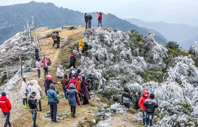 Hàng ngàn du khách bất chấp rét buốt lên đỉnh Mẫu Sơn ngắm băng tuyết - Ảnh 6. Hàng ngàn du khách bất chấp rét buốt lên đỉnh Mẫu Sơn ngắm băng tuyết - Ảnh 6.