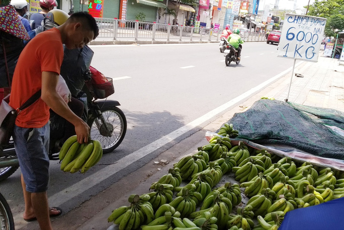 Giá chuối rớt thảm khi Trung Quốc thừa cung - Ảnh 2. Giá chuối rớt thảm khi Trung Quốc thừa cung - Ảnh 2.