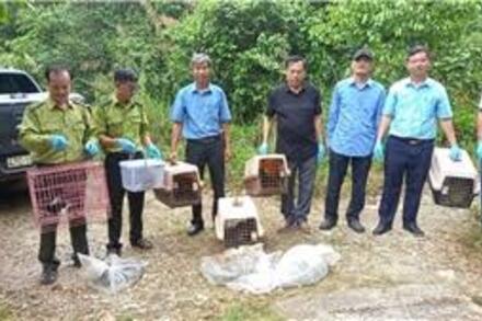 Gỡ bỏ 10 nhóm kín rao bán động vật hoang dã trên mạng xã hội
