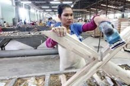 Gỗ Trường Thành (TTF): Lợi nhuận lao dốc, vay thêm vốn và tái cơ cấu dòng tiền