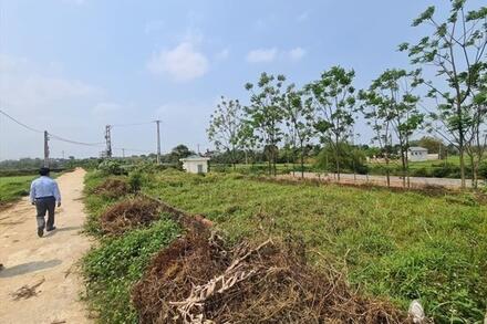 Bất động sản 24h: Giá chung cư tăng cao, mức giá 60-70 triệu dần vắng bóng