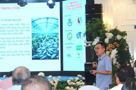 Xuất khẩu cá rô phi tăng hơn 170% trong 8 tháng đầu năm 2025