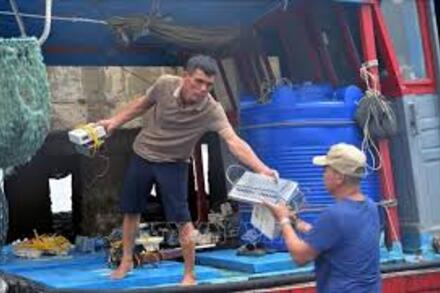 Gỡ thẻ vàng IUU: Khởi tố 13 tàu cá tháo thiết bị giám sát hành trình để khai thác trái phép trong vùng cấm