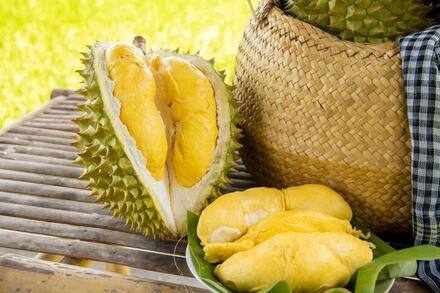 Giá sầu riêng hôm nay 24/10: Giảm nhẹ 2.000 - 5.000 đồng/kg tại nhiều vùng trồng, xuất khẩu giữ nhịp ổn định