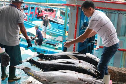 Gỡ 'thẻ vàng' IUU: Chìa khóa và cơ hội nâng tầm thủy sản Việt