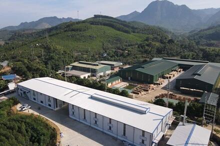 Dự kiến tăng trưởng GDP Việt Nam năm 2025 tăng trên 8%