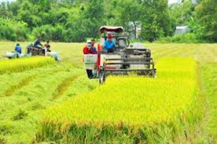 Kiến tạo nền nông nghiệp sinh thái, nông dân văn minh trong kỷ nguyên mới