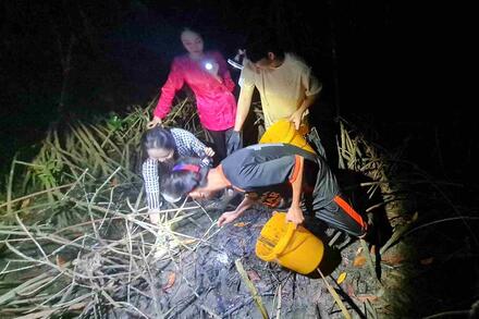 Vào rừng ngập mặn làm du lịch, homestay