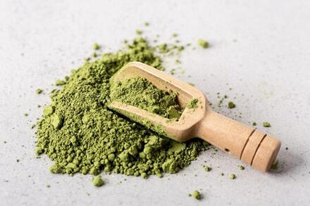 Trà chùm ngây hay trà xanh, loại nào tốt hơn cho sức khỏe