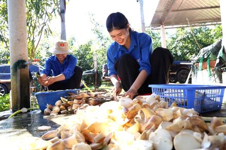 Nông nghiệp xanh mở hướng đi bền vững ở Quảng Trị