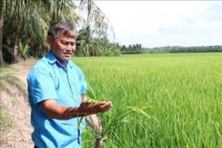 Nông nghiệp xanh tạo nền tảng phát triển ở Hùng Hòa