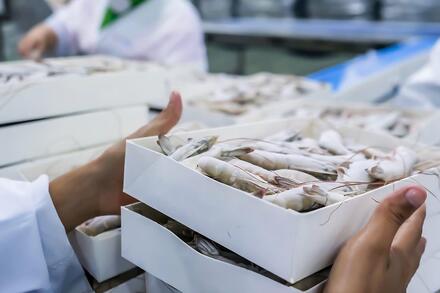 Xuất khẩu dệt may, thủy sản đạt 50,5 tỷ USD, áp lực chi phí gia tăng