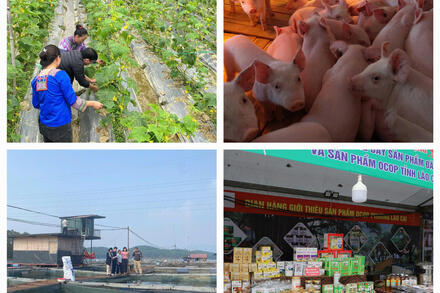 Lào Cai duy trì đà tăng trưởng tích cực trên các lĩnh vực kinh tế - xã hội