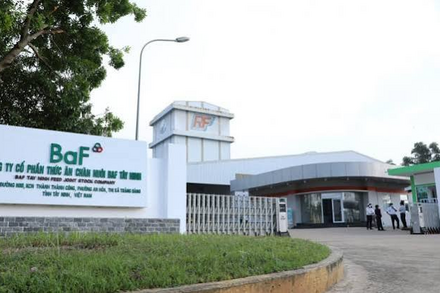 BAF Việt Nam (BAF) dòng tiền kinh doanh quý I âm hơn 300 tỷ đồng, bỏ 810 tỷ để lập 4 công ty con tại Hà Nội