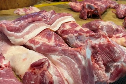 Giá heo hơi hôm nay 24.7: Tiếp tục rớt giá, cao nhất là 66.000 đồng/kg