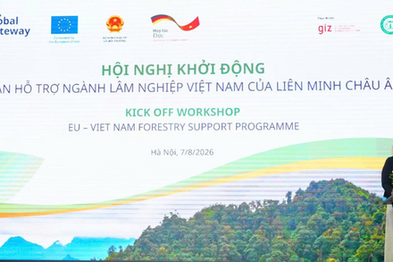 Việt Nam phối hợp với EU và Đức khởi động dự án hỗ trợ ngành Lâm nghiệp