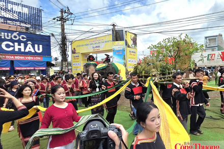 'Nữ hoàng sầu riêng' và câu chuyện nâng tầm thương hiệu