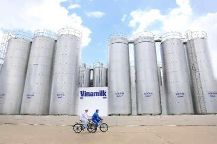50 năm Vinamilk: Khi "đạt chuẩn" chưa phải là điểm dừng