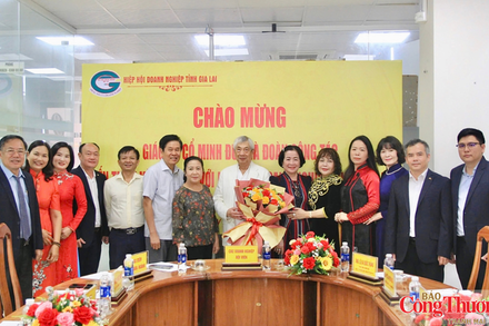 Gia Lai: Kết nối chuyên gia, doanh nghiệp mở rộng dư địa hợp tác quốc tế