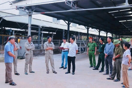 Ô nhiễm tại trang trại gà ở Quảng Trị vẫn chưa được xử lý dứt điểm