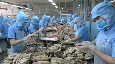 “5 không” cho doanh nghiệp Việt khi kinh doanh tại EU