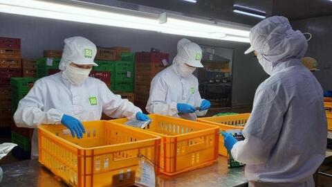 Phấn khởi trở lại làm việc sau tết (*): Vì việc làm, đời sống công nhân