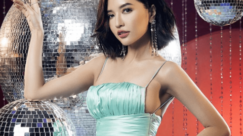 Mỹ Anh và những ca sĩ Việt từng được vinh danh  tại Quảng trường Thời Đại