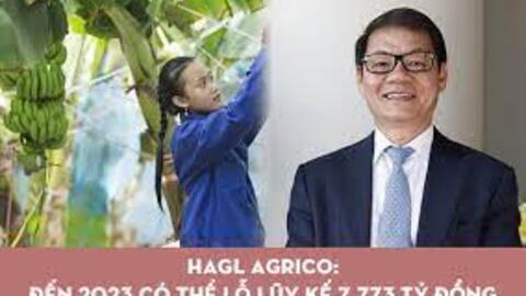 HAGL Agrico lên kế hoạch lỗ hơn 2.700 tỷ đồng năm 2022