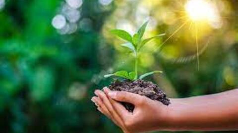 Hãy thiết lập một ý thức sống xanh!