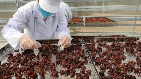 Kỳ vọng từ hợp tác kinh tế Việt - Nhật