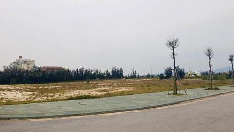 Đất vàng bỏ hoang nhiều năm