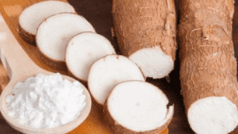 Doanh nghiệp kinh doanh bột sắn trên sàn chứng khoán thu hàng nghìn tỷ mỗi năm, cổ tức tiền mặt “đều như vắt tranh”