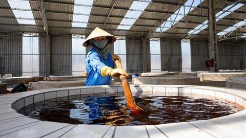 Gia vị xuất sắc trong bếp Việt: Khách Tây tấm tắc ngợi khen "hàng Việt Nam là ngon nhất"