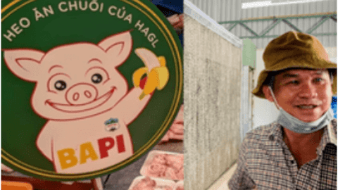 HAGL điều chỉnh nhẹ phương án chào bán huy động 1.700 tỷ đồng trong năm 2022, nhấn mạnh thứ tự ưu tiên vốn