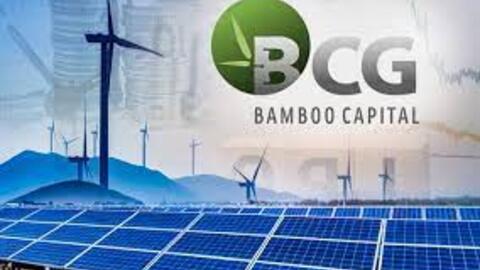BCG sắp chi hơn 250 tỷ đồng trả cổ tức tiền mặt