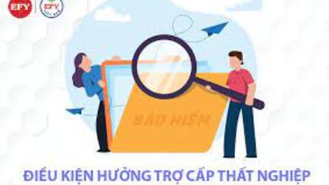 Được hưởng bảo hiểm thất nghiệp?