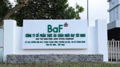 BAF tạm rút hồ sơ đăng ký chào bán 600 tỷ đồng trái phiếu chuyển đổi 