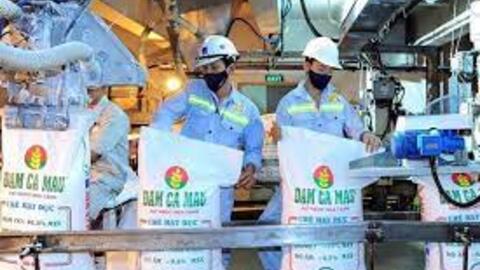 Đạm Cà Mau lãi ròng gần 3.3 ngàn tỷ đồng sau 9 tháng