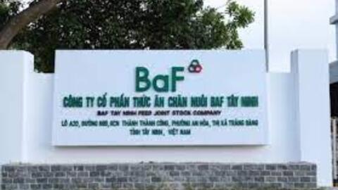 Doanh thu mảng chăn nuôi gấp đôi cùng kỳ, BAF lãi ròng quý 3 gần 158 tỷ đồng
