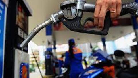 Hóa dầu Petrolimex tạm ứng cổ tức 2022 bằng tiền tỷ lệ 12%