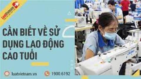 Được sử dụng lao động lớn tuổi làm công việc nặng nhọc?