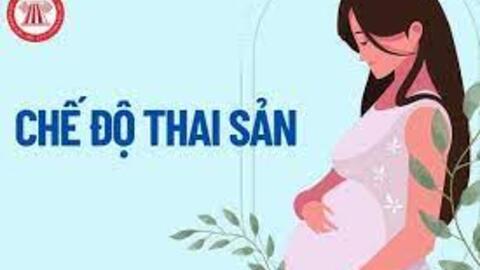 Không được hưởng chế độ thai sản