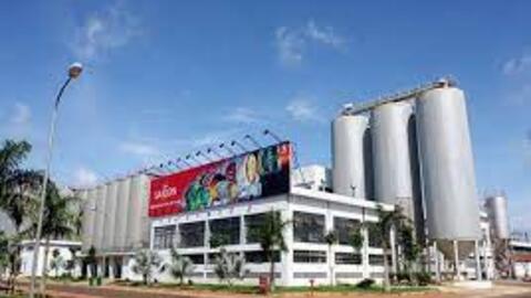 Sản lượng giảm khiến SMB “bước hụt” trong quý 4