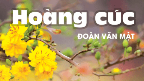 Bài thơ "Hoàng cúc" và "Đi lễ chùa"