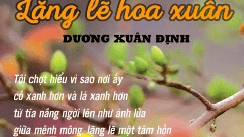 Bài thơ "Lặng lẽ hoa xuân" và "Lời quê"
