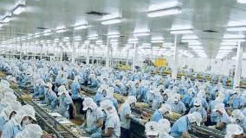 Doanh nghiệp thủy sản niêm yết lập đỉnh mới năm 2022