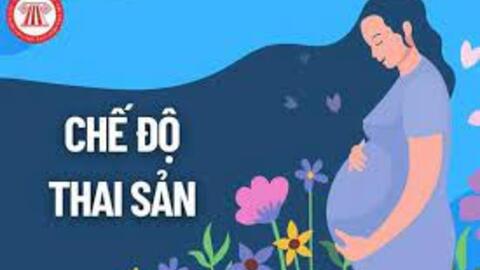 Đề xuất chế độ thai sản cho người tham gia BHXH tự nguyện