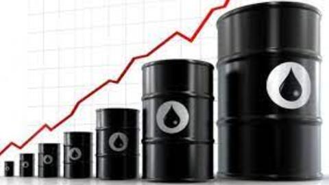 Dầu khởi sắc 1%, đứt mạch 3 phiên giảm liên tiếp