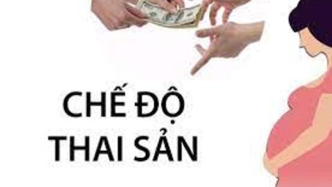 Được hưởng chế độ thai sản?